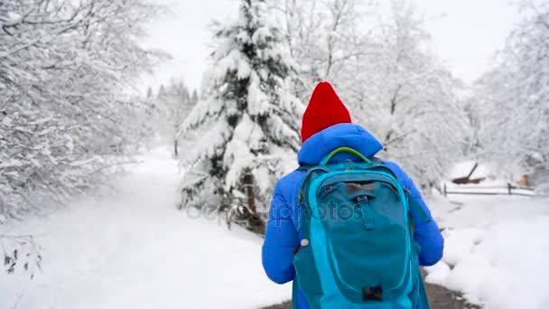 Vrouw beklimmingen op een besneeuwde berg, draait zich om. Heldere zonnige frosty — Stockvideo