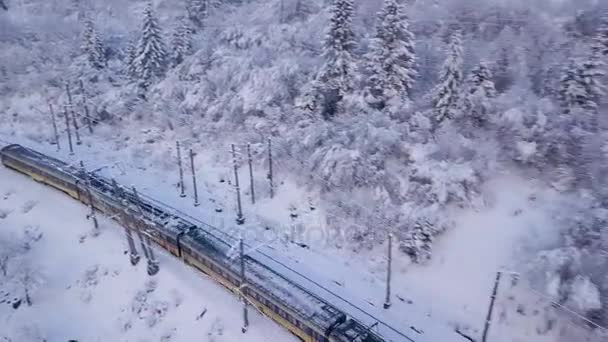 Vista aérea do trem que atravessa o terreno montanhoso no inverno — Vídeo de Stock