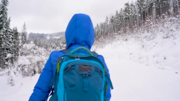 Kadın bir karla kaplı dağa tırmanıyor, gülümseyen ve birine el sallayarak, döner. Açık güneşli soğuk hava — Stok video
