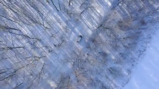 Letecký pohled na auto přes zimu lesní cesta. Malebnou zimní krajinou — Stock video