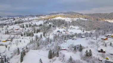 Karlı dağ köyü ve iğne yapraklı orman üzerinde uçuş. Açık güneşli soğuk hava