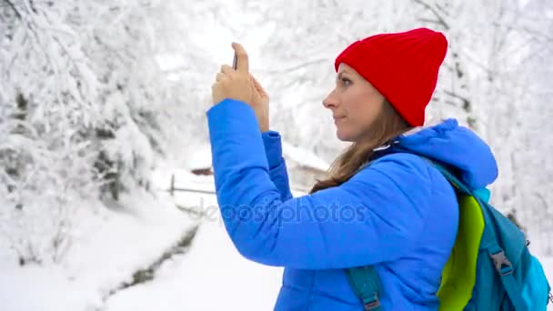 Mladá žena používá smartphone pro značku fotky krásný výhled na hory, Karpaty — Stock video