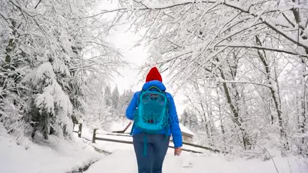 Frau klettert auf einen schneebedeckten Berg, dreht sich um, lächelt und winkt jemandem zu. klar, sonnig und frostig — Stockvideo