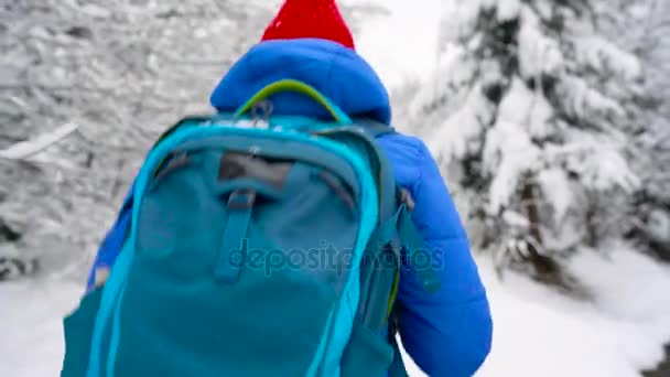 女性は、美しい冬の雪に覆われた風景の中でパスに沿って歩きます。晴れた冷ややかな天候 — ストック動画