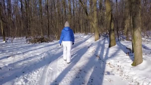 Θέα από το ύψος, σε γυναίκα σε ζεστά ρούχα βόλτες κατά μήκος μιας διαδρομής ανάμεσα στο όμορφο χειμώνα χιονισμένο τοπίο. Σαφή ηλιόλουστη ψυχρός καιρός. — Αρχείο Βίντεο