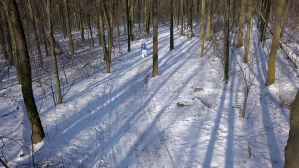 Yükseklikten kadın sıcak giysiler yürüyüşler karla kaplı güzel kış manzarası arasında bir yol boyunca olarak görüntüleyin. Açık güneşli soğuk hava. — Stok video