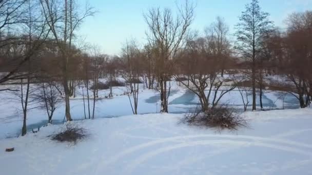 Widok z lotu ptaka na zimowe zamarzniętej rzece otoczony przez drzewa i banki pokryte śniegiem — Wideo stockowe