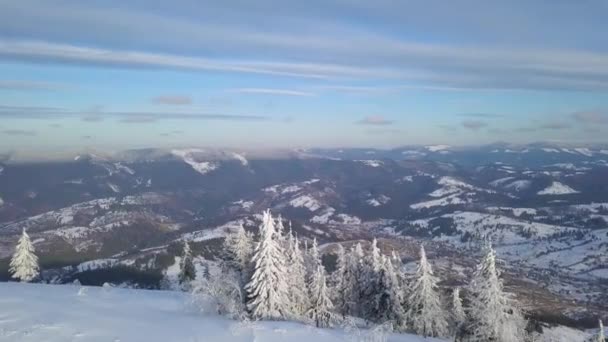 Vol au-dessus des montagnes des Carpates couvertes de neige. Temps givré clair — Video