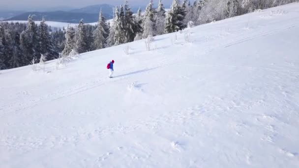 Πτήση πάνω από το κορίτσι μοναχικό τουριστικές περπατώντας στην κορυφή του ένα βουνό καλυμμένο με χιόνι. Σαφή ψυχρός καιρός — Αρχείο Βίντεο