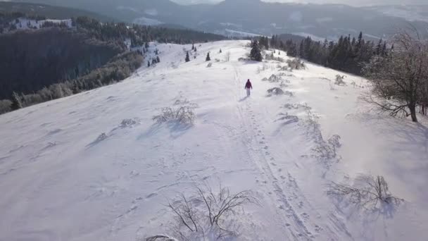 Voo sobre a menina turista solitária andando ao longo do topo de uma montanha coberta de neve. Tempo gelado claro — Vídeo de Stock