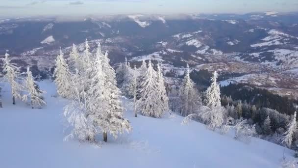 Vlucht over het meisje van de eenzame toerist neemt een foto van de natuur op een smartphone. Duidelijk frosty weer — Stockvideo