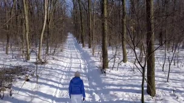 Vista da altura para a mulher em passeios de roupas quentes ao longo de um caminho entre a bela paisagem coberta de neve de inverno. Tempo gelado ensolarado claro . — Vídeo de Stock