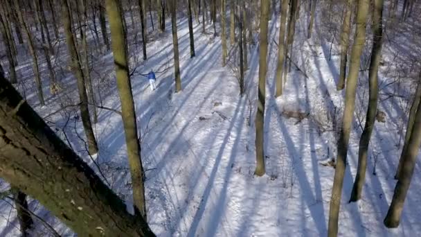 Blick aus der Höhe auf eine Frau in warmer Kleidung schlendert auf einem Pfad durch die wunderschöne winterliche, schneebedeckte Landschaft. klar, sonnig und frostig. — Stockvideo
