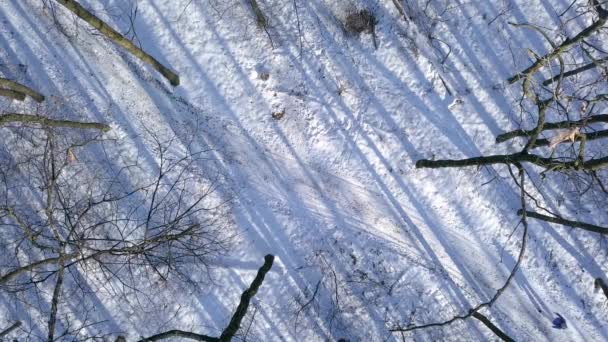 Vista dall'alto verso la donna in abiti caldi passeggia lungo un sentiero tra i bellissimi paesaggi innevati invernali. Tempo sereno e soleggiato . — Video Stock