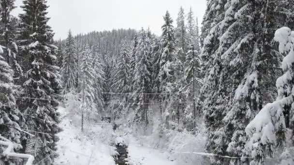 Πτήση πάνω από το χιονισμένο βουνό κωνοφόρων δασών. Συννεφιά ψυχρός καιρός — Αρχείο Βίντεο