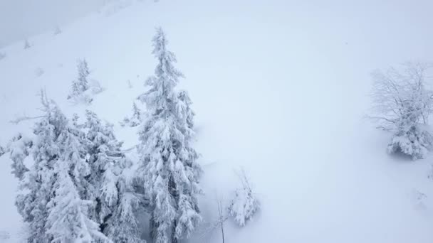 Volo sopra la tempesta di neve in una montagna innevata, scomodo clima invernale ostile . — Video Stock