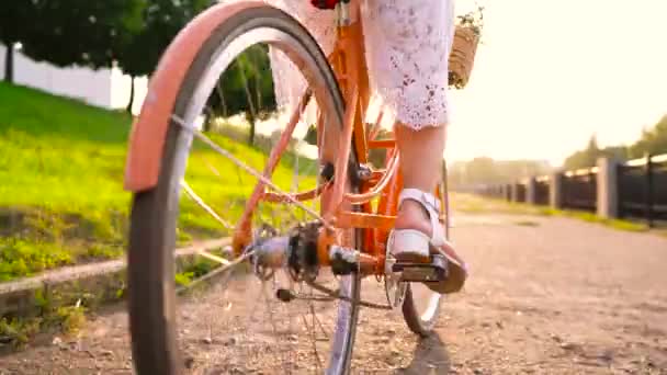 Young beautiful woman riding a bicycle at sunset Video Clip