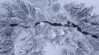 Ağaçları ve karla kaplı bankaların çevrili kış dağ Nehri'nin Üstten Görünüm