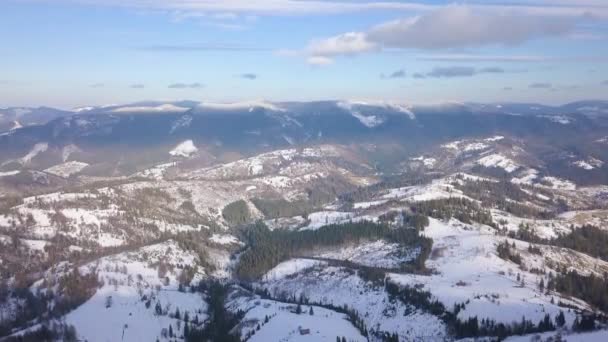 Vuelo sobre montañas Cárpatas cubiertas de nieve. Clima frío claro — Vídeos de Stock