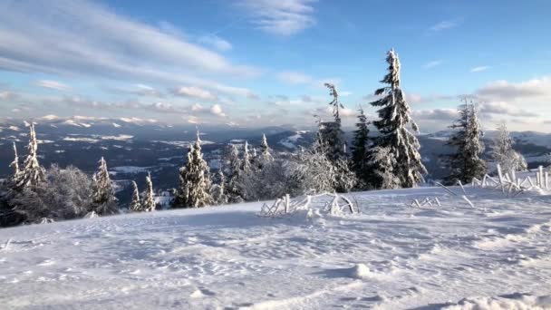 Karpatských hor pokryté sněhem a silný vítr. Jasné mrazivé počasí — Stock video