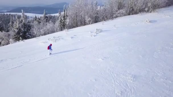 Vuelo sobre la solitaria chica turística caminando por la cima de una montaña cubierta de nieve. Clima frío claro — Vídeo de stock