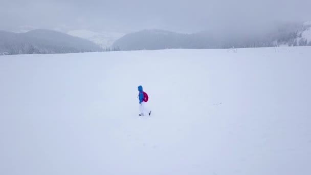 Repülés alatt a magányos turista lány séta a tetején egy hegy hóval. Kényelmetlen barátságtalan téli időjárás. — Stock videók
