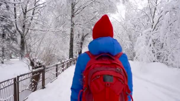 女性は、美しい冬の雪に覆われた風景の中でパスに沿って歩きます。晴れた冷ややかな天候. — ストック動画
