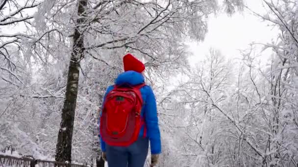 Nő sétálni között a gyönyörű téli havas táj ösvényen. Világos napsütéses fagyos Időjárás. — Stock videók