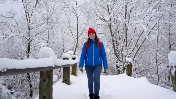 Kobieta idzie się ścieżką wśród piękny zimowy krajobraz pokryte śniegiem. Słonecznie Pogoda mroźny. — Wideo stockowe