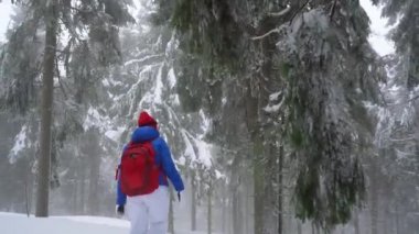 Yalnız turist kız kış karla kaplı iğne yapraklı bir ormanda dağlarda yürüyüş. Soğuk hava