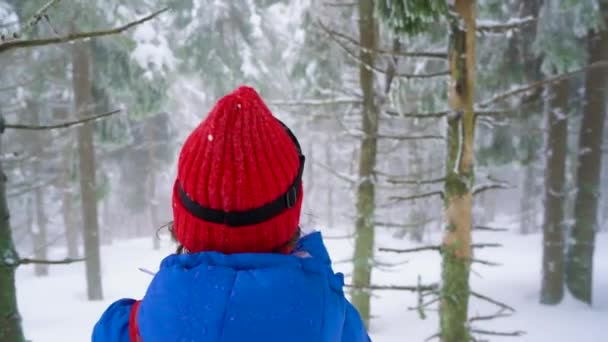 Touristenmädchen spaziert durch einen schneebedeckten Nadelwald in den Bergen und macht ein Foto von der Natur mit dem Smartphone. frostiges Wetter — Stockvideo