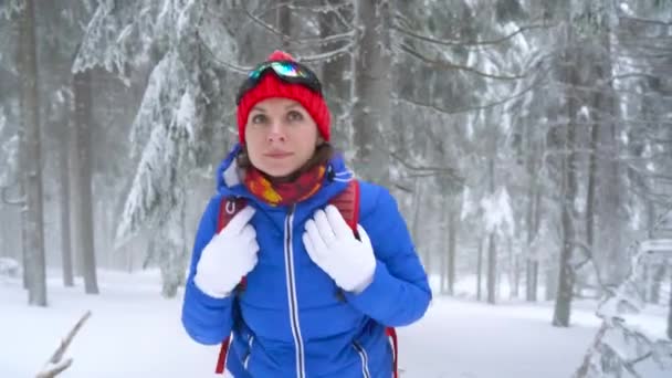 Chica turística caminando en un bosque de coníferas cubierto de nieve de invierno en las montañas y se acerca a su compañero para ayudarla. Clima helado — Vídeos de Stock