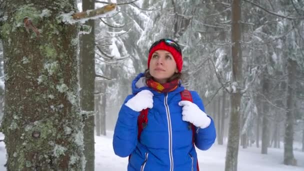 Einsames Touristenmädchen, das auf einem schneebedeckten Nadelwald in den Bergen spaziert. frostiges Wetter — Stockvideo
