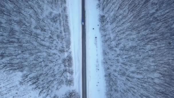 Vista aérea del coche que conduce a través de la carretera forestal de invierno. Paisaje escénico de invierno — Vídeo de stock