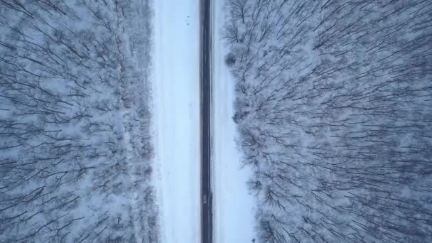 通过冬季森林路驾驶的汽车鸟瞰图。风景秀丽的冬季景观 — 图库视频影像