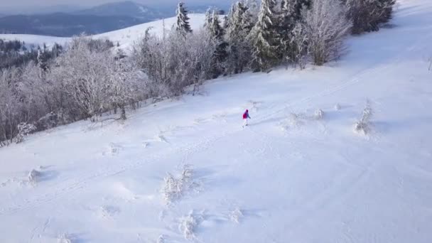 Flight over the lonely tourist girl walking along the top of a mountain covered with snow. Clear frosty weather — Stock Video