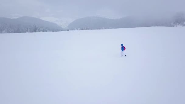 Vol au-dessus de la jeune touriste solitaire marchant le long du sommet d'une montagne couverte de neige. temps givré neigeux — Video