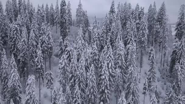 Voo sobre a aldeia nas montanhas cobertas de neve. Tempo gelado claro — Vídeo de Stock