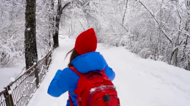 Νεαρή γυναίκα χρησιμοποιεί ένα smartphone για κάνει μια φωτογραφίες του ένα όμορφο χειμώνα χιονισμένο τοπίο — Αρχείο Βίντεο