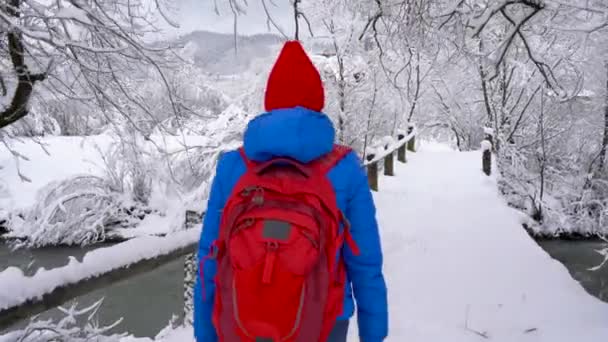 Mujer joven camina a través del puente a través del río. Hermoso paisaje cubierto de nieve de invierno — Vídeos de Stock