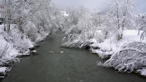 Rzeka Winter Mountain otoczona drzewami i brzegami pokrytymi śniegiem — Wideo stockowe