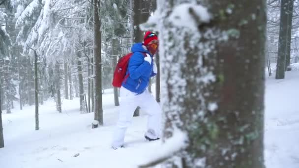 Одинокая туристка, гуляющая по зимнему заснеженному хвойному лесу в горах. Ледяная погода. Медленное движение — стоковое видео