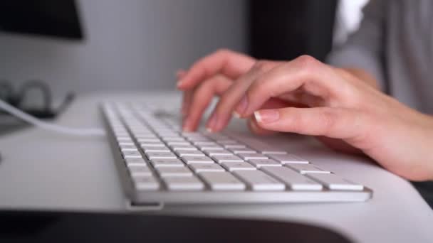 Woman office worker typing on the keyboard — Stock Video