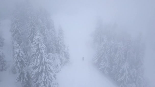 Vuelo sobre la tormenta de nieve en un bosque de coníferas de montaña nevada y en la pista de esquí con esquiadores irreconocibles, incómodo clima invernal hostil . — Vídeo de stock