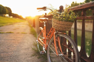 Güzel bisiklet çiçekli sepet içinde sokakta duruyor