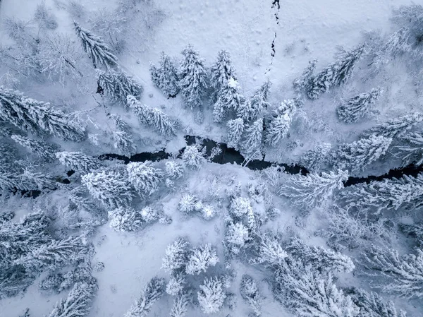 Top pandangan musim dingin gunung sungai dikelilingi oleh pohon-pohon dan bank — Stok Foto