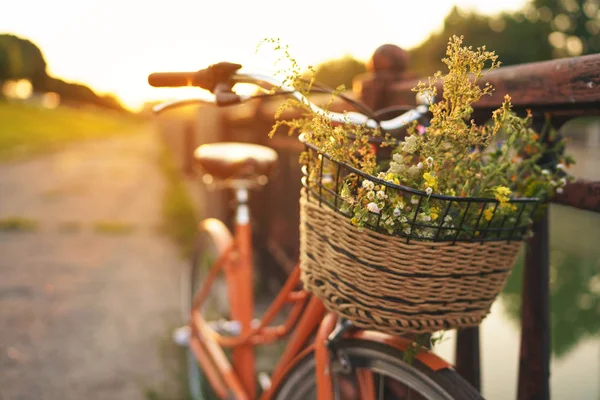 Bela bicicleta com flores em uma cesta fica na rua — Fotografia de Stock