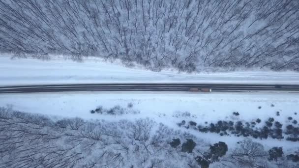 Widok z lotu ptaka na samochody wjeżdżające Zima Las droga. Krajobraz Scenic zima — Wideo stockowe