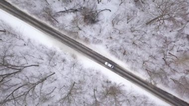 Havadan görünümü kış orman yolu sürüş araba. Doğal kış manzarası