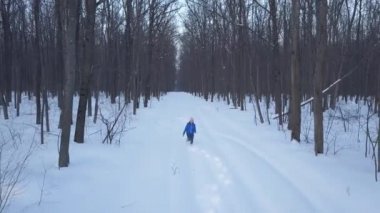 Havadan görünümü mutlu kız ormanda snowdrifts etrafında çalışır. Doğal kış manzarası